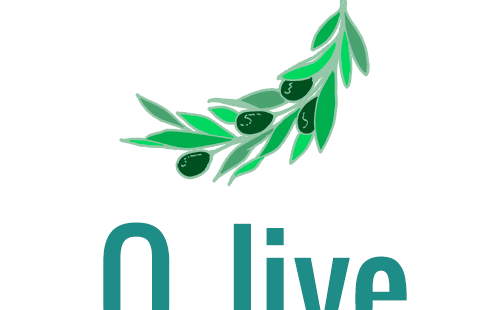 Περίληψη project O_live